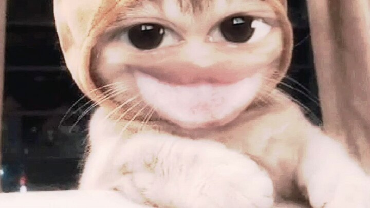 meowww