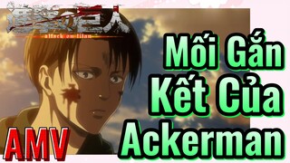 [Đại Chiến Titan] AMV | Mối Gắn Kết Của Ackerman