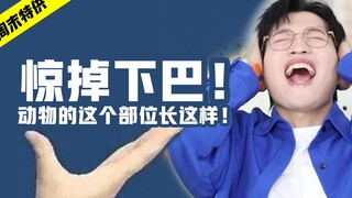 惊掉下巴！动物的这些部位竟然长这样！！