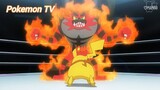 Pokemon (Short Ep 112) - Battle Royal (Phần 2) #pokemon
