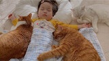 Cats Sleeping With The Child! Healing Video!
