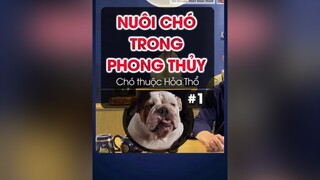 Nuôi chó trong Phong thuỷ (1/4) chó chó_cưng thayKhaiToan Thiền fyp