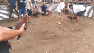 tupada 2ndfyt loss