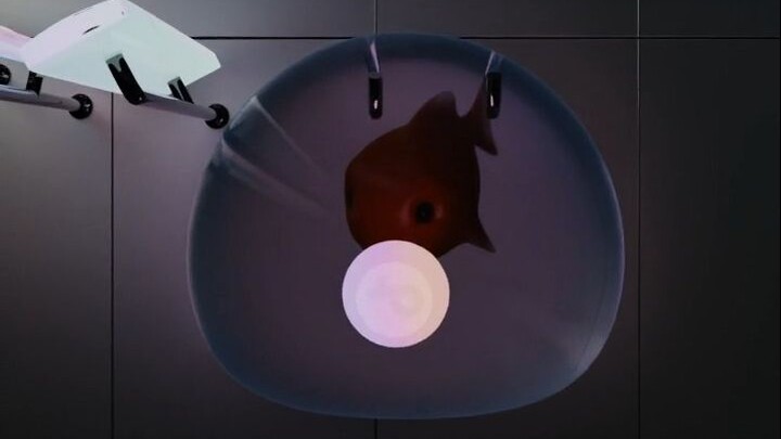 วันที่ N ที่ซอฟต์แวร์ล่ม ลองเดาสิว่านี่คือเพลงอะไร