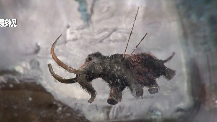 Just moved into their new place, this young couple stumbles upon something bizarre: a mysterious ice