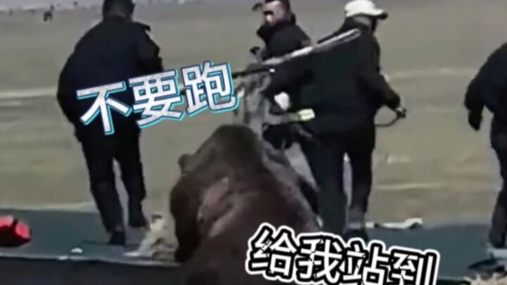 Asalkan kedua kaki berlari cepat, siapa yang di belakang pasti susah!