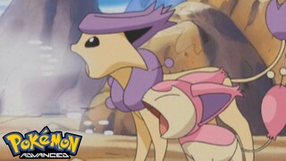 Pokémon AG Tập 336: Eneko và Enekororo! Điều phối viên truyền thuyết xuất hiện!! (Thuyết Minh)