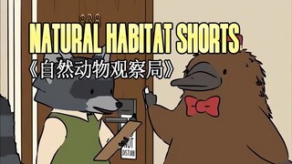 230601《自然动物观察局》- Natural Habitat Shorts