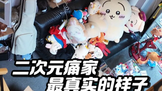 我真实的痛家到底有多乱