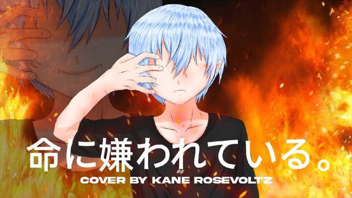 命に嫌われている。 - COVER BY KANE ROSEVOLTZ