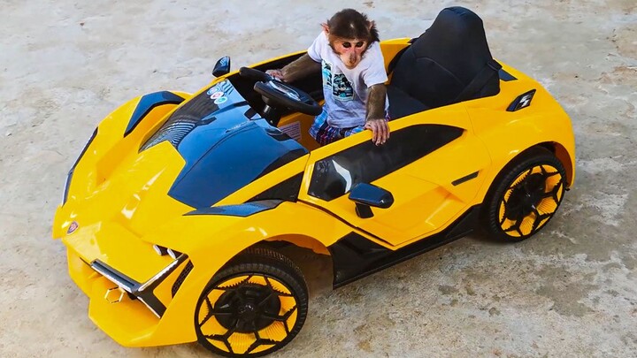 Heard parking in reverse is super tough? YoYo the Little Monkey will show you how!