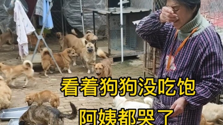 نفد الطعام في الفناء الصغير، فانهارت العمة بالبكاء من القلق.