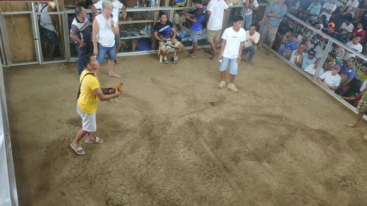 my gold jet 2wins champion. .