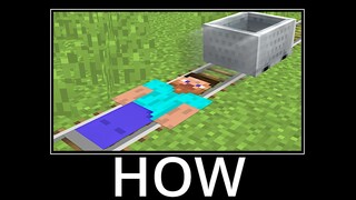 WAIT WHAT (Minecraft) #65