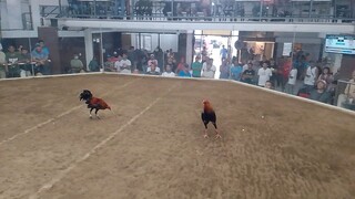 3stags timbangan sa Mendez...simple mamalo pero malutong