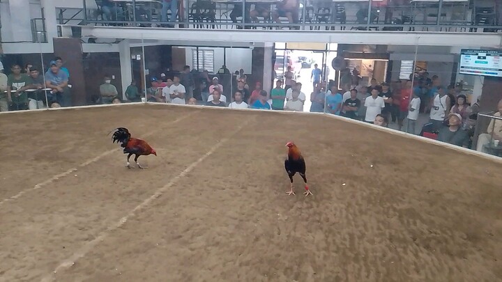 3stags timbangan sa Mendez...simple mamalo pero malutong