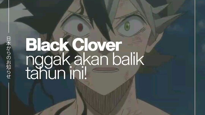 Black Clover Akan Kembali Segera? 🤔