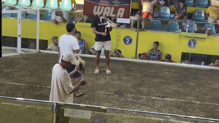 bulik win sa rosario batangas