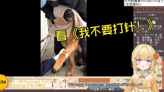 日本大憨憨看《我！不！要！打！针！！！》