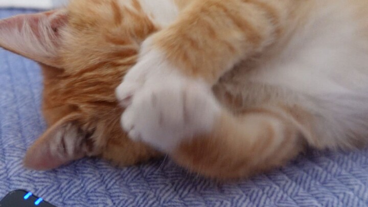 【Lu】I’m no longer clean!