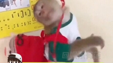 Baiklah, baiklah, baiklah, hanya Yama yang terjaga, ya?!
