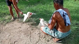 tukong vs sa kapatid nya