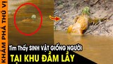 🔥 8 Bí Ẩn Siêu Kỳ Lạ Về Đầm Lầy Khiến Các Nhà Khoa Học Cũng Phải Kinh Ngạc | KPTV