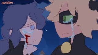 Soulmates AU [Miraculous Ladybug Comic]