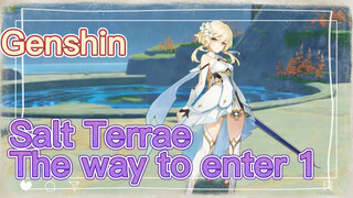 Salt Terrae The way to enter 1