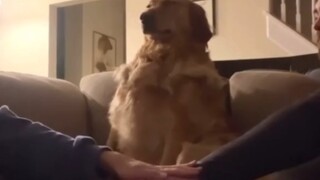 يدعوك صديقك عبر الإنترنت، ولكنك لم تنتهِ من واجبك المنزلي بعد