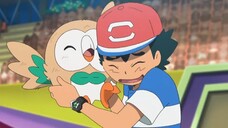 [S24 Alola] Pokémon Tập 1077 Điểu Chiến! Anh Dũng Điểu VS Thần Điểu!!