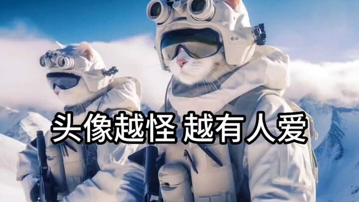 Meow Meow Task Force