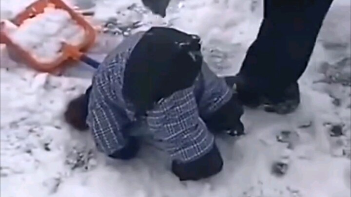 Super-cute human babies are here to wish you a Happy New Year!