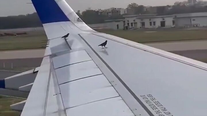 Economy class is fully booked—get a standby ticket for free!