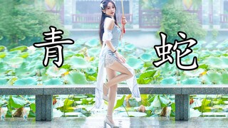 竖屏❤️法海你不懂爱❤️《青蛇》【卿斗酱】