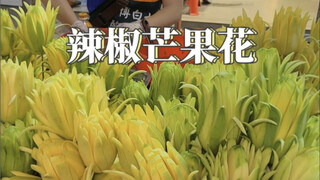 终于让我吃到了梦寐以求的辣椒芒果花！好吃极了，越吃越上瘾！酸酸 脆脆 甜甜