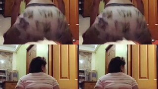 tatalbog ka talaga