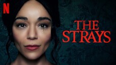 The Strays (2023) | Tagalog Dubbed_ Watch Here For Free : Link In Description