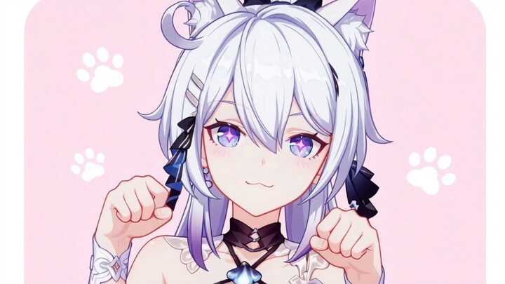 快进来撸琪猫猫！！