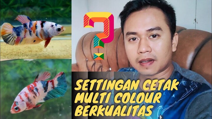 SETTINGAN INDUKAN UNTUK CETAK MULTI COLOUR BERKUALITAS