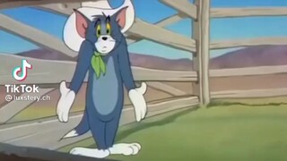 ko lẽ tôi thích con mèo