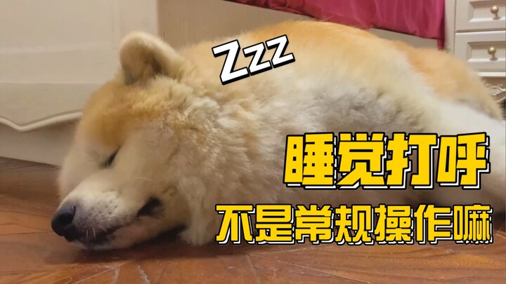 Tôi cứ tưởng bố tôi đang ngáy, hóa ra là con chó nhà tôi.