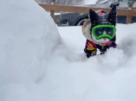 Nấm cảm hứng be bé xinh xinh!