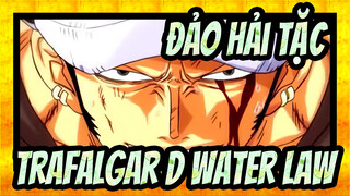 [Đảo Hải Tặc|Sử thi|AMV]Trafalgar D. Water Law