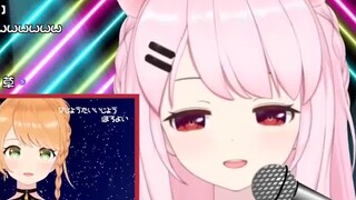 [Bilibili Limited] The cat who said shameful words to celebrate Elena's birthday