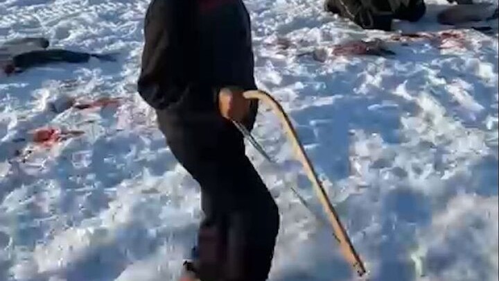 入坑了 一条这个年纪不该承受的大鱼