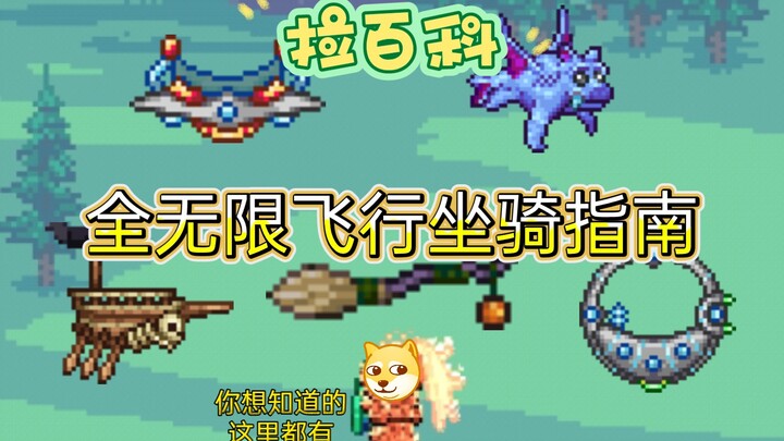 Terraria Infinite Flight Mount Guide!! [La Baike]