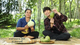 ตามอำเภอจาน  'พลุ เฉลิมพล' พาไปเข้าสวน ทุเรียนเทศ ที่ เขาพนม กระบี่ วันอังคาร 10 มิ.ย. เวลา 18.00น.