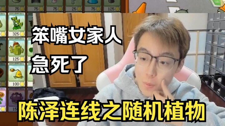 Chen Ze goes live with a random Plants vs. Zombies match; his clumsy, talkative family member is dri