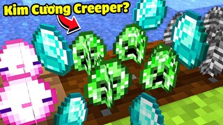 Minecraft nhưng bạn có thể Trồng Siêu Kim Cương